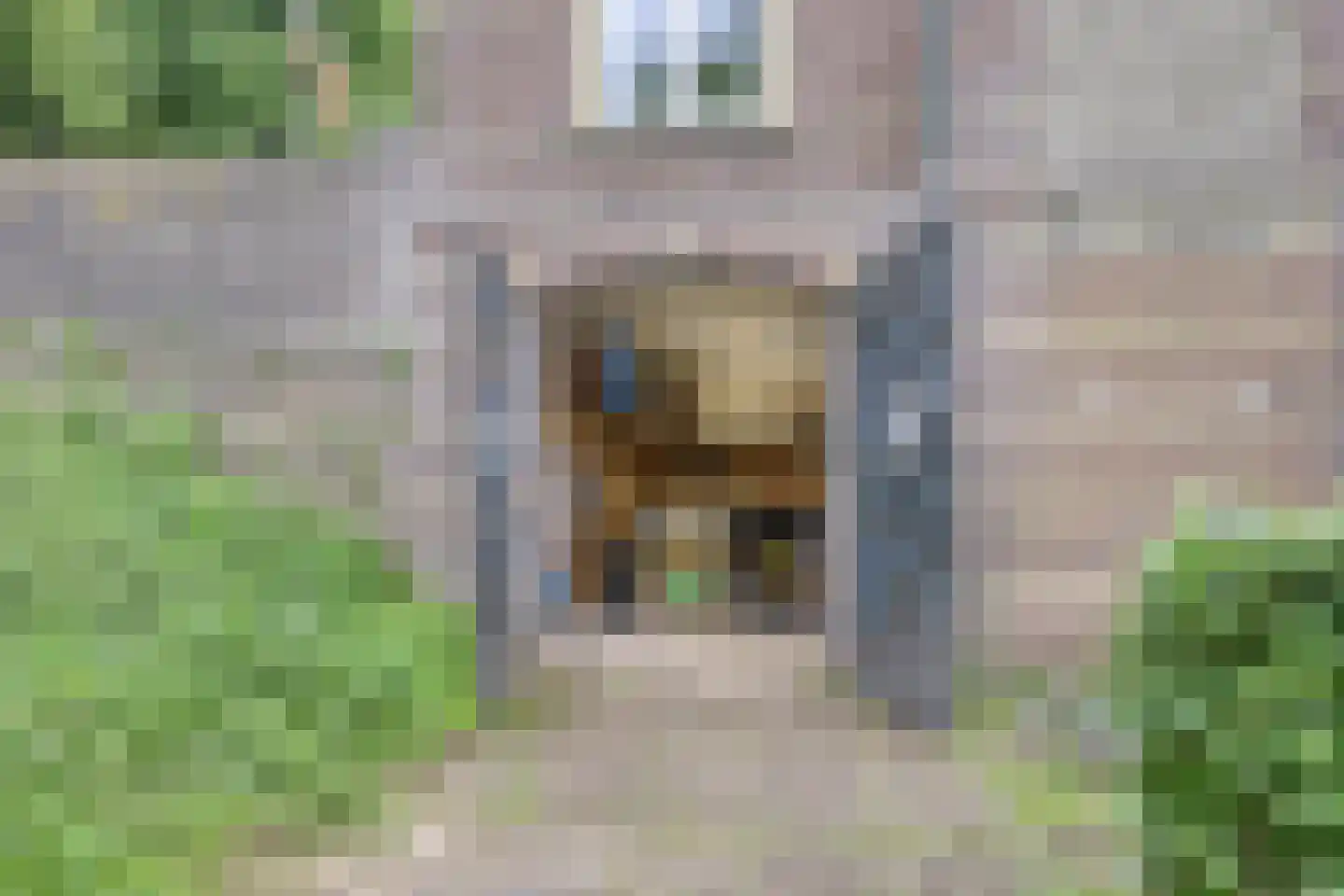 Maasdijk 68 Demen thumbnail 52