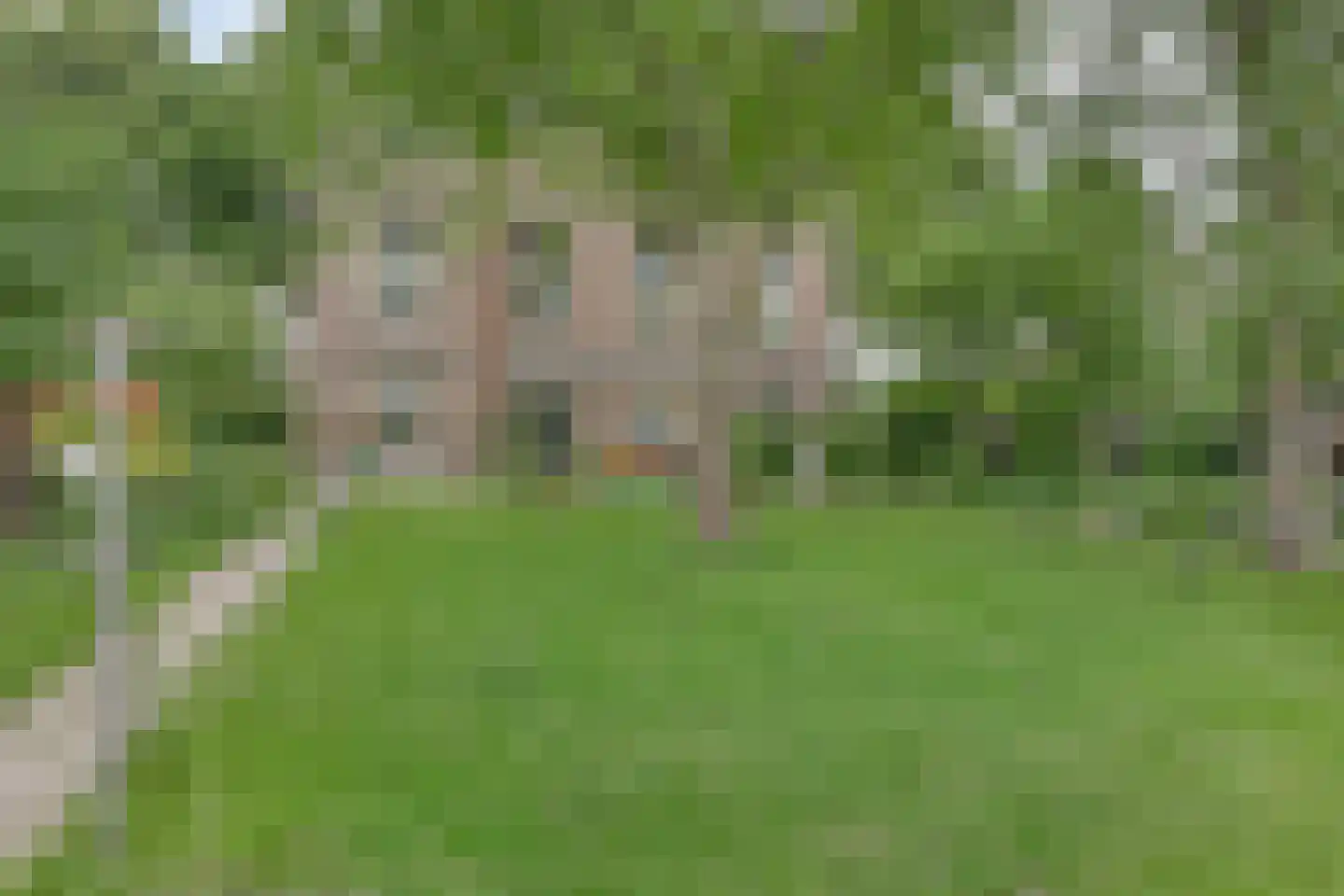 Maasdijk 68 Demen thumbnail 54