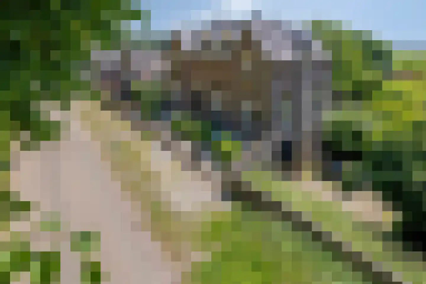 Maasdijk 68 Demen thumbnail 59