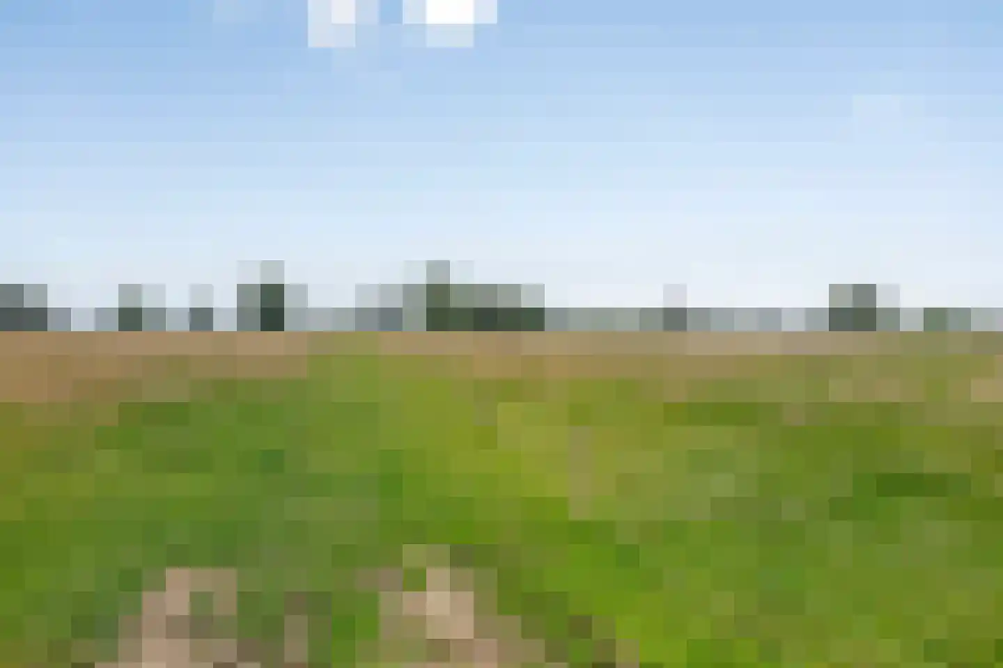 Maasdijk 68 Demen thumbnail 62