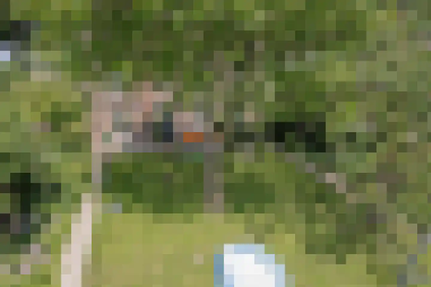 Maasdijk 68 Demen thumbnail 64