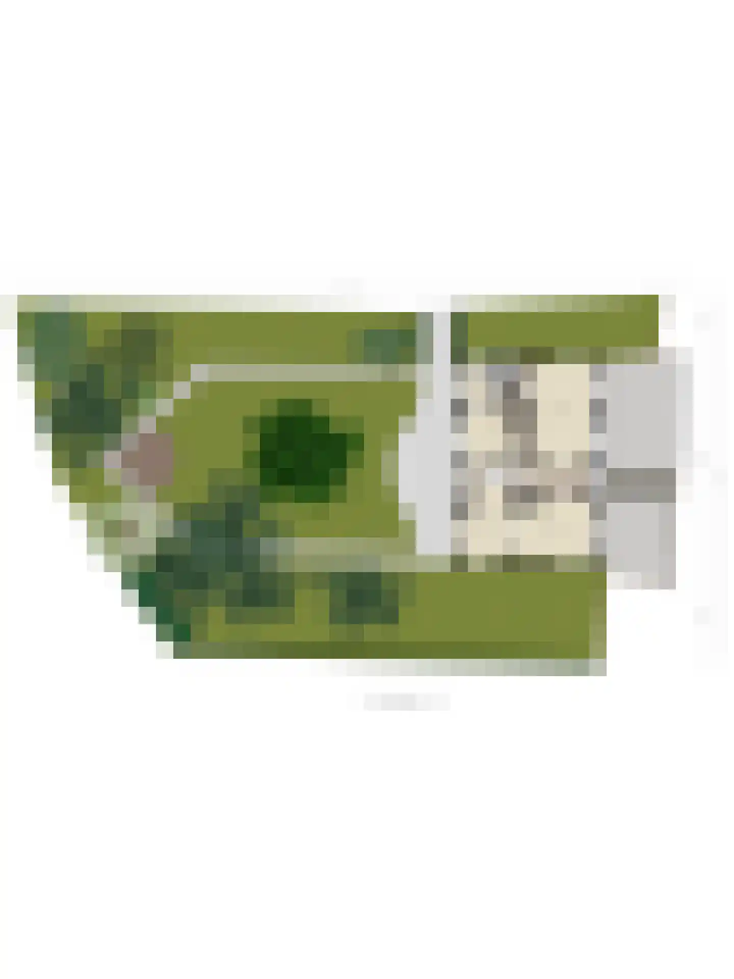 Maasdijk 68 Demen thumbnail 65