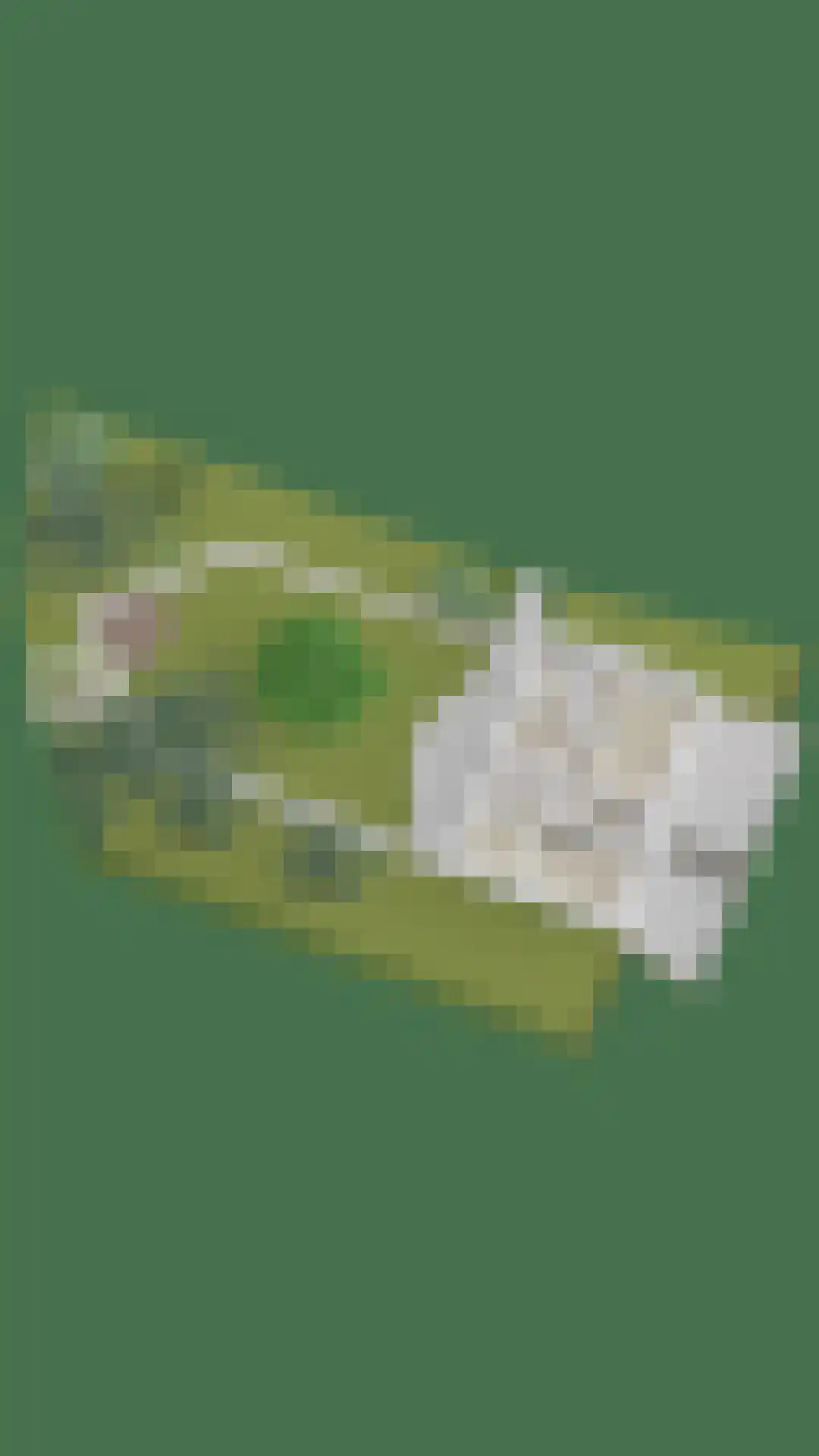 Maasdijk 68 Demen thumbnail 66