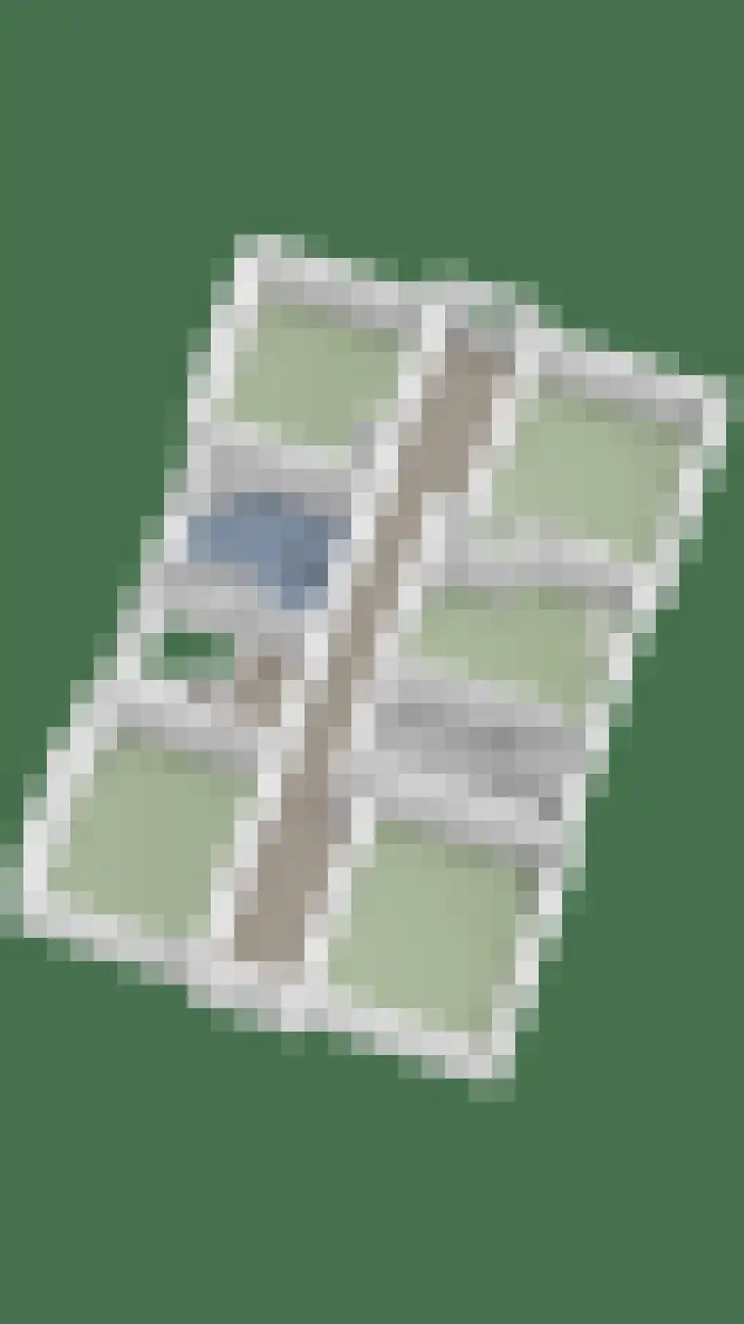 Maasdijk 68 Demen thumbnail 70