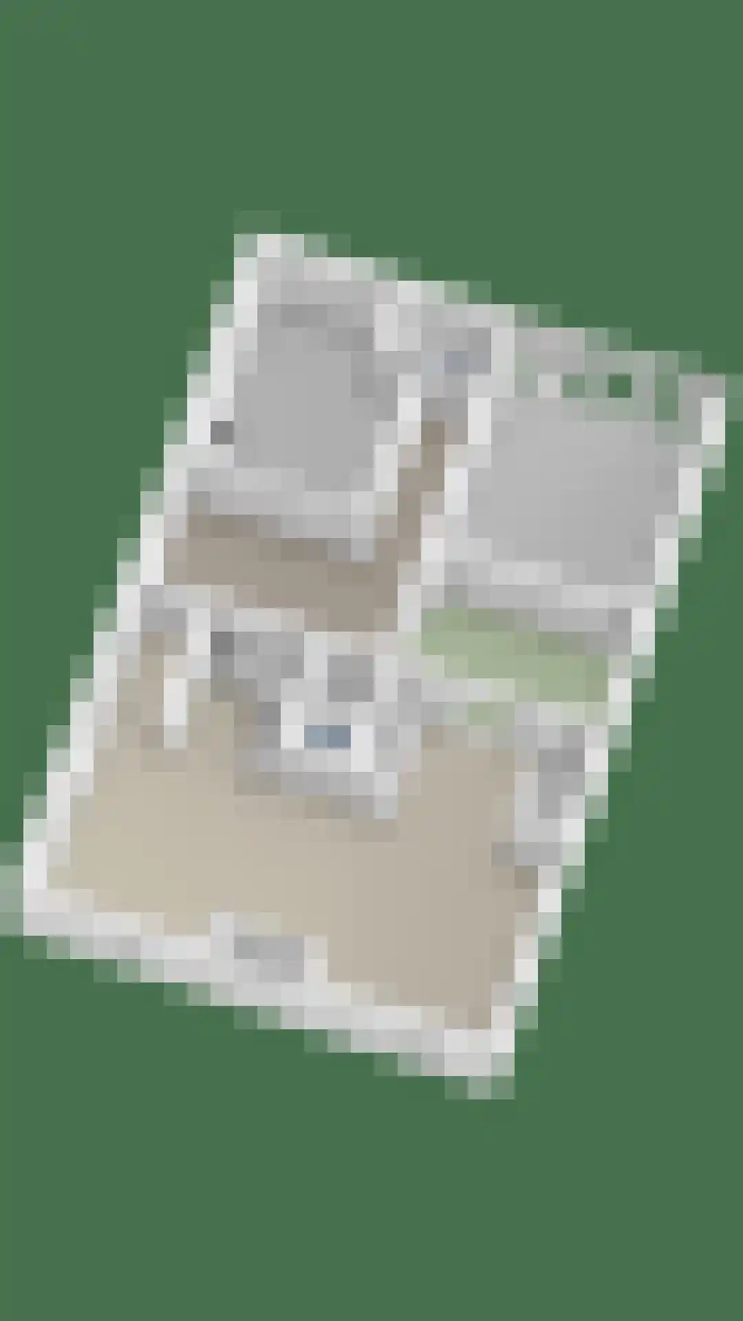 Maasdijk 68 Demen thumbnail 72