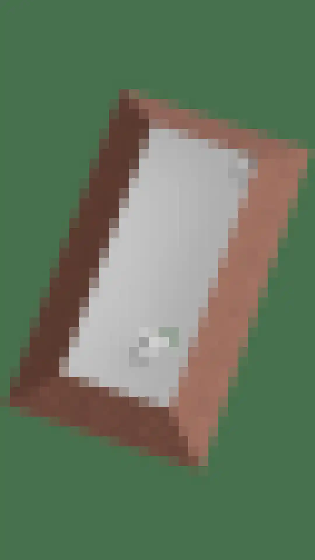 Maasdijk 68 Demen thumbnail 74
