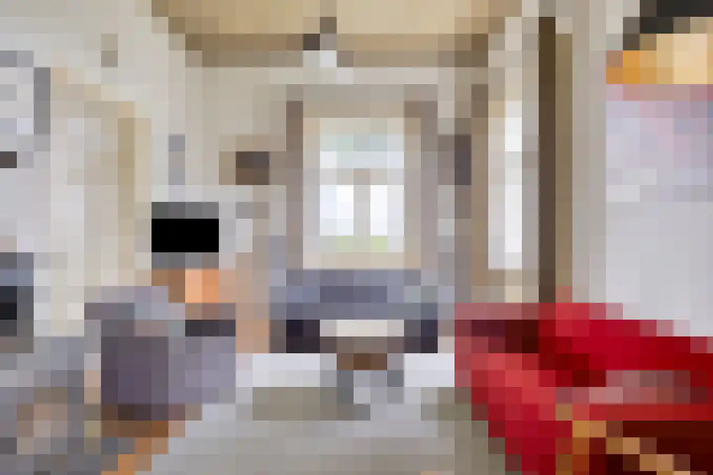 Maasdijk 68 Demen thumbnail 9