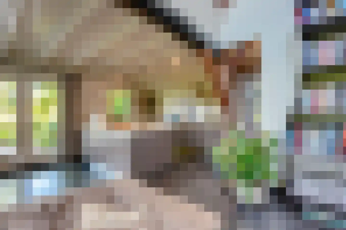 Maasdijk 7 Nederhemert thumbnail 11