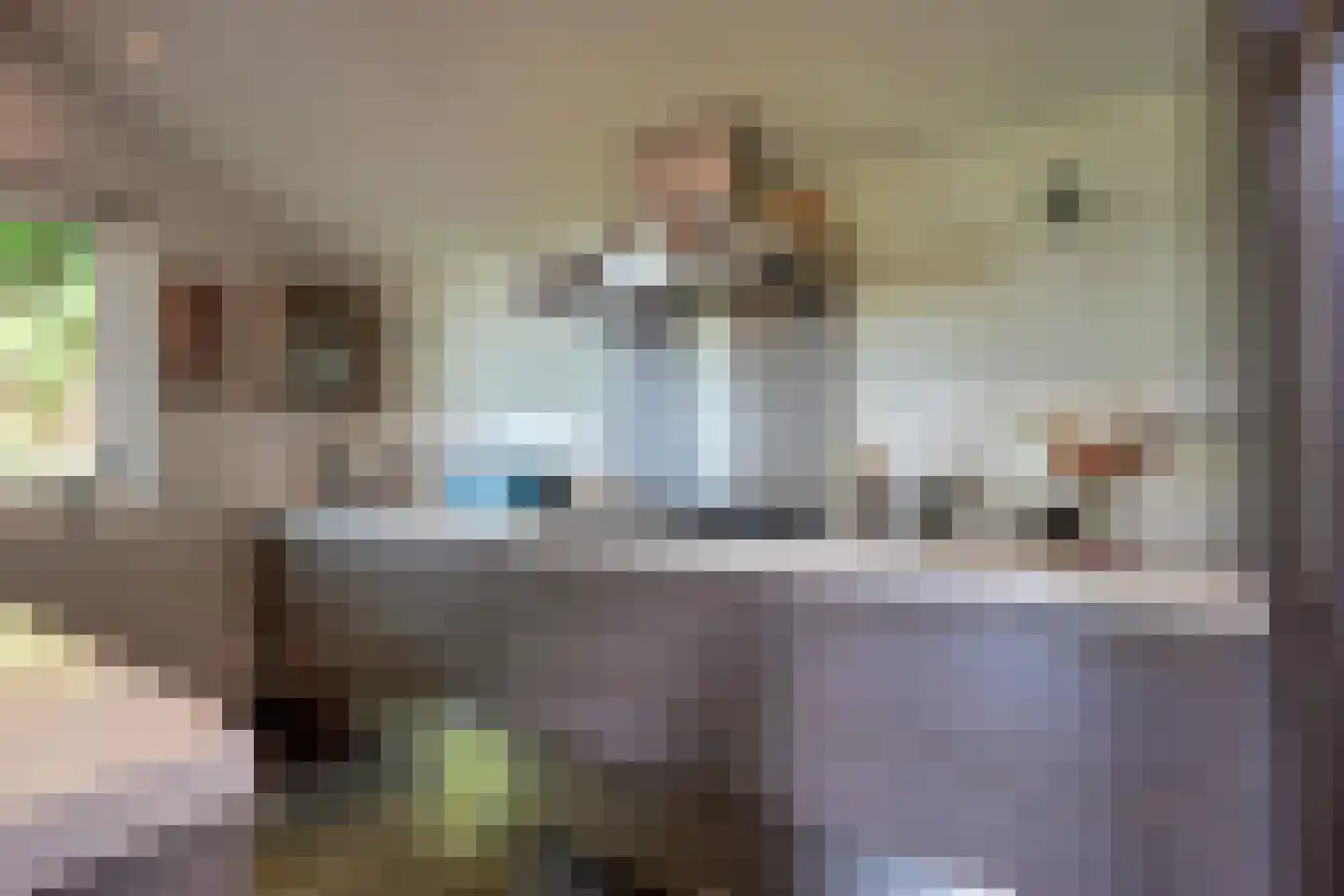 Maasdijk 7 Nederhemert thumbnail 12