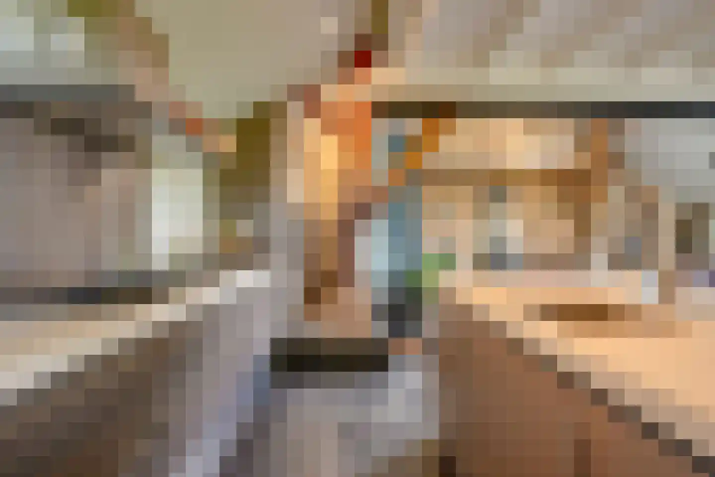 Maasdijk 7 Nederhemert thumbnail 13