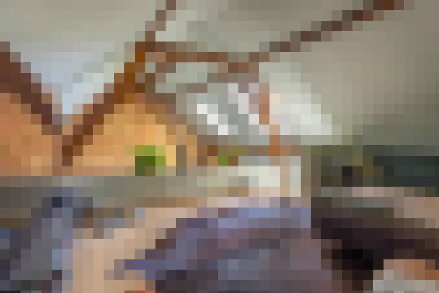 Maasdijk 7 Nederhemert thumbnail 16