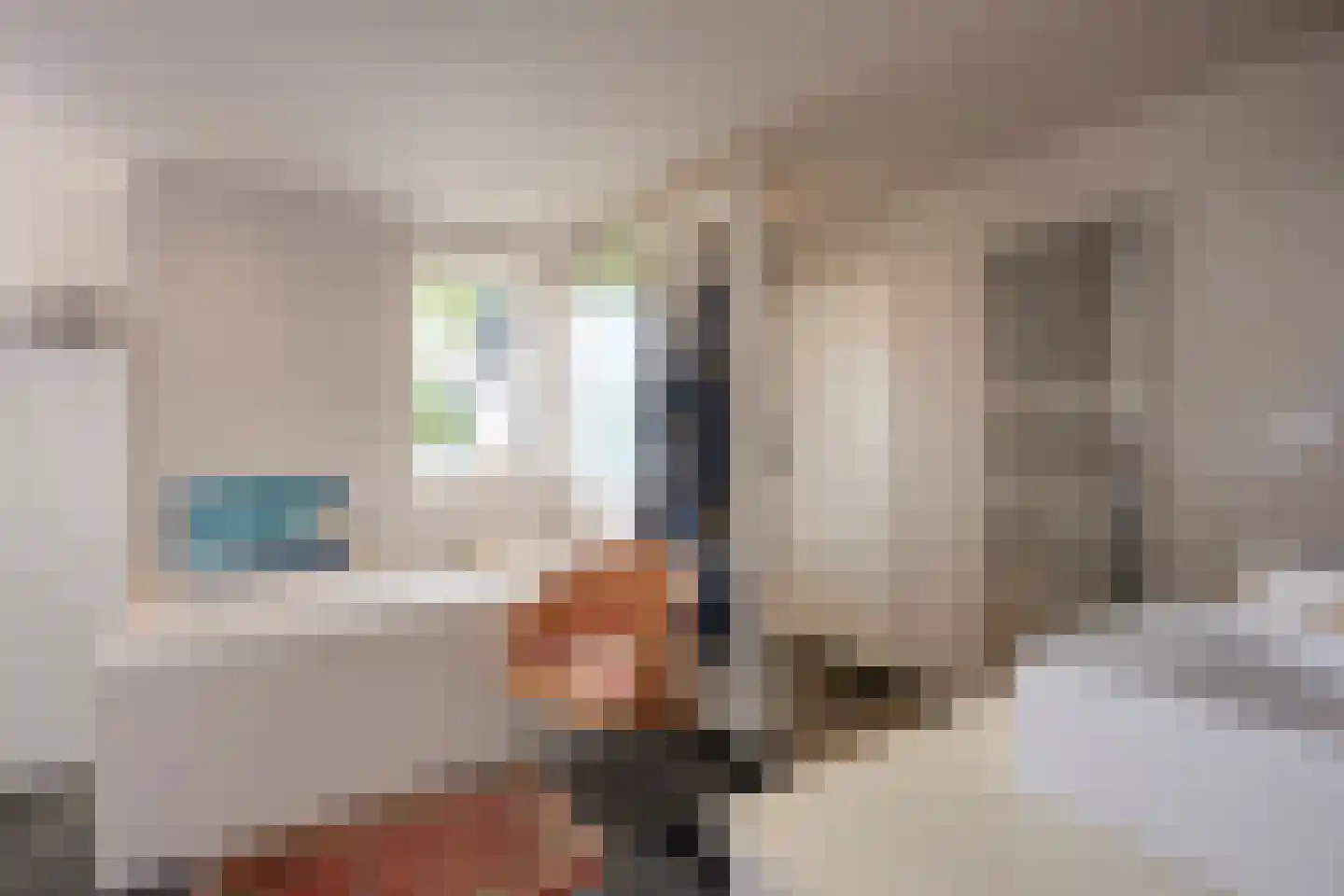 Maasdijk 7 Nederhemert thumbnail 24