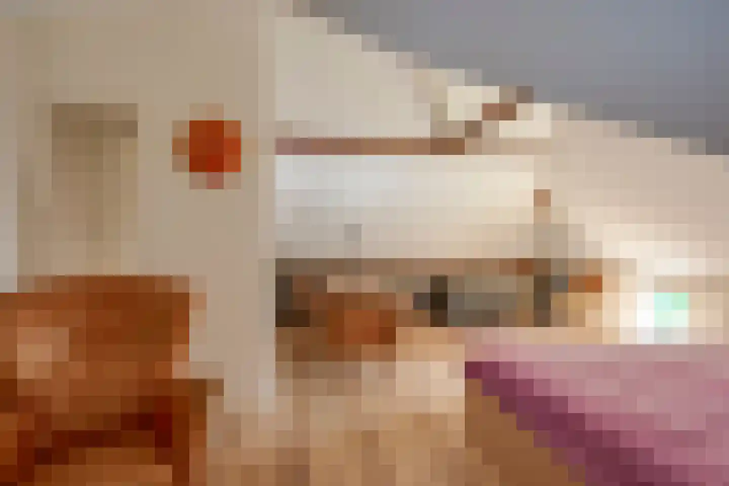 Maasdijk 7 Nederhemert thumbnail 26