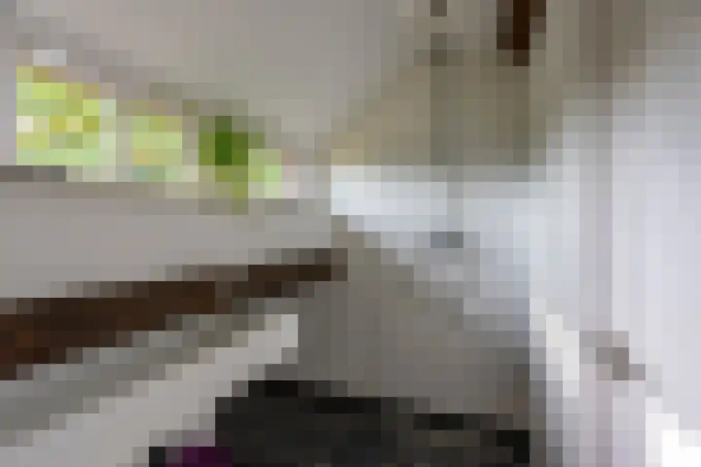 Maasdijk 7 Nederhemert thumbnail 30