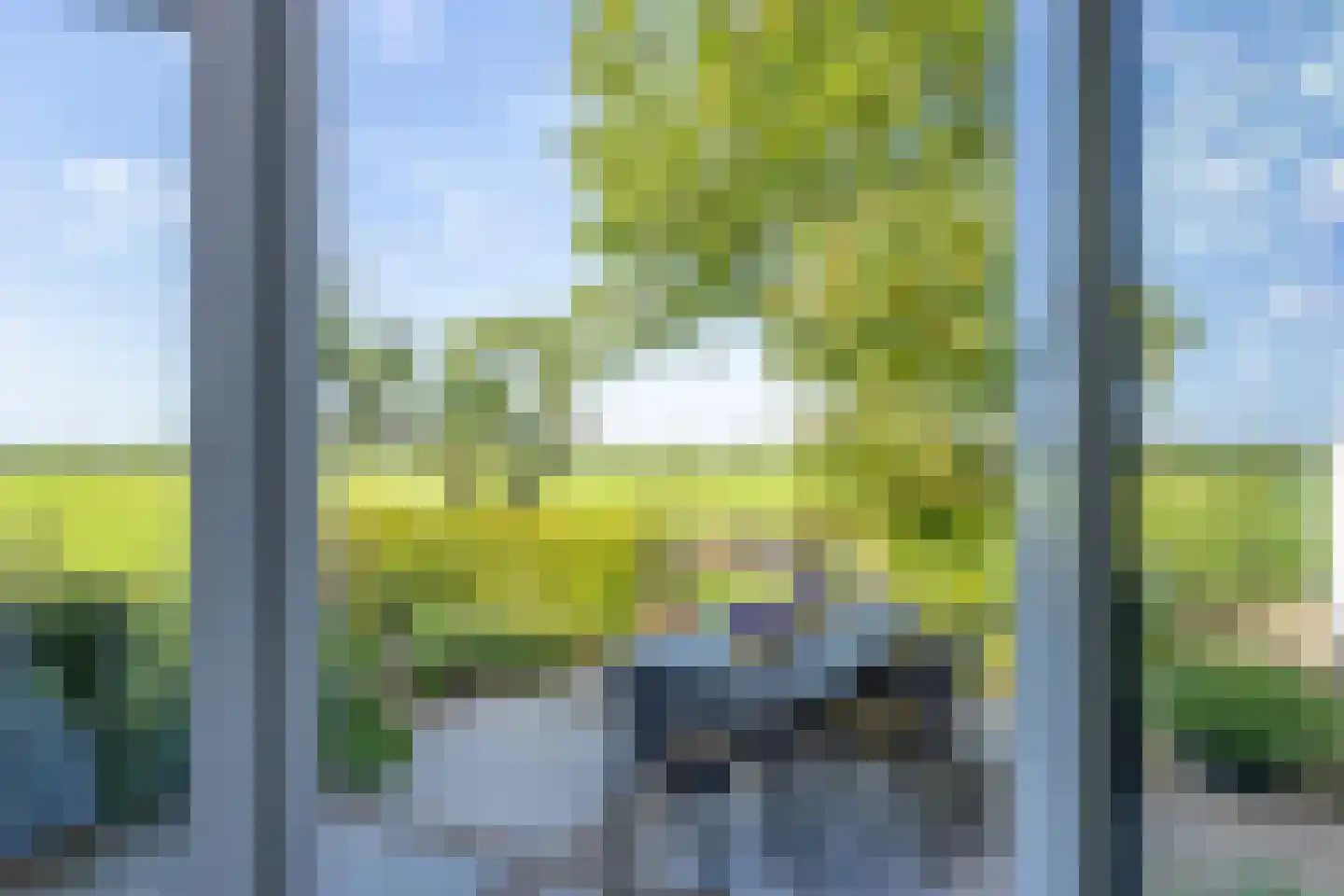 Maasdijk 7 Nederhemert thumbnail 31