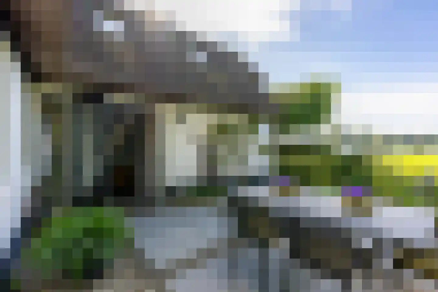 Maasdijk 7 Nederhemert thumbnail 32