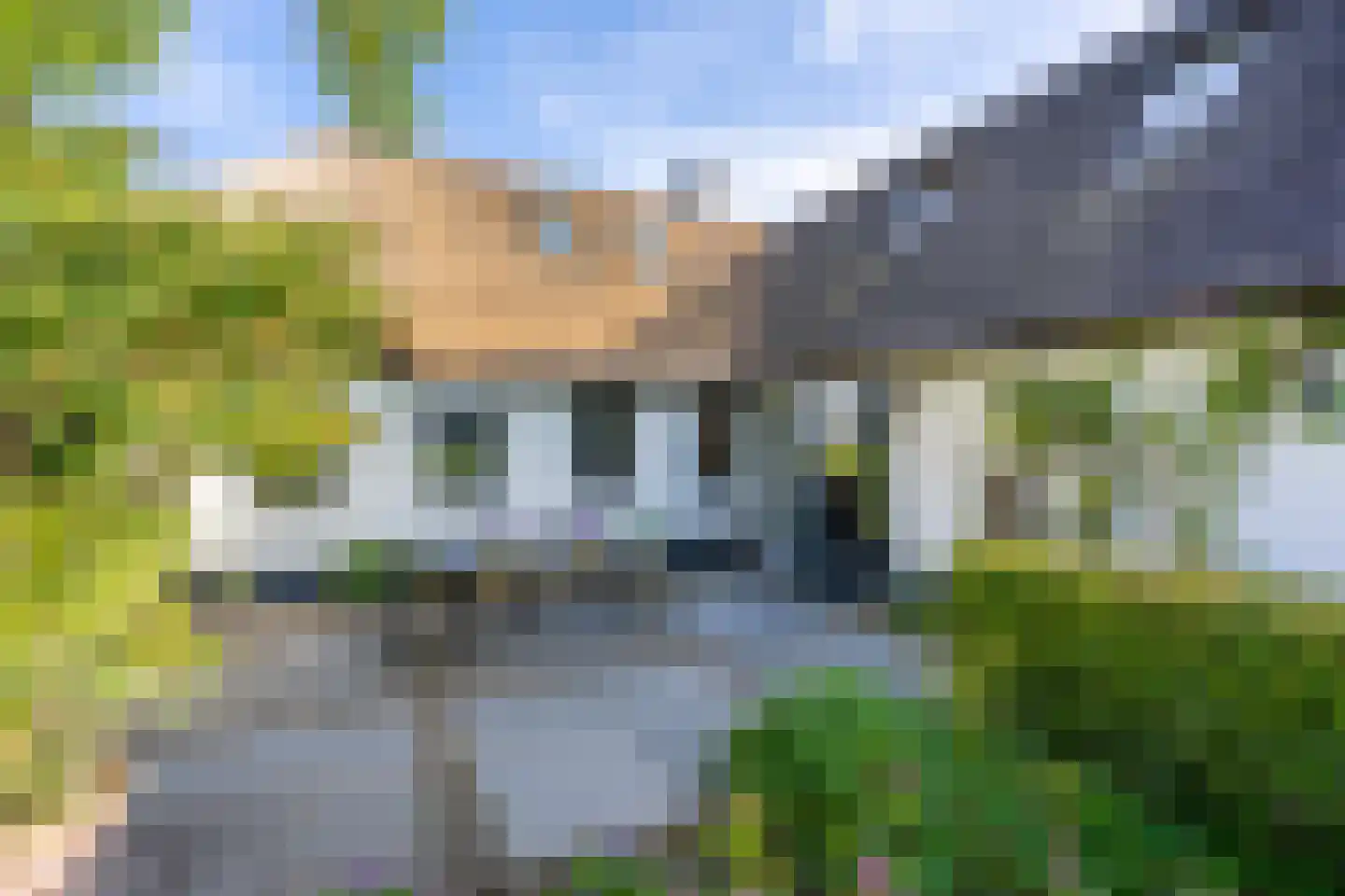 Maasdijk 7 Nederhemert thumbnail 33
