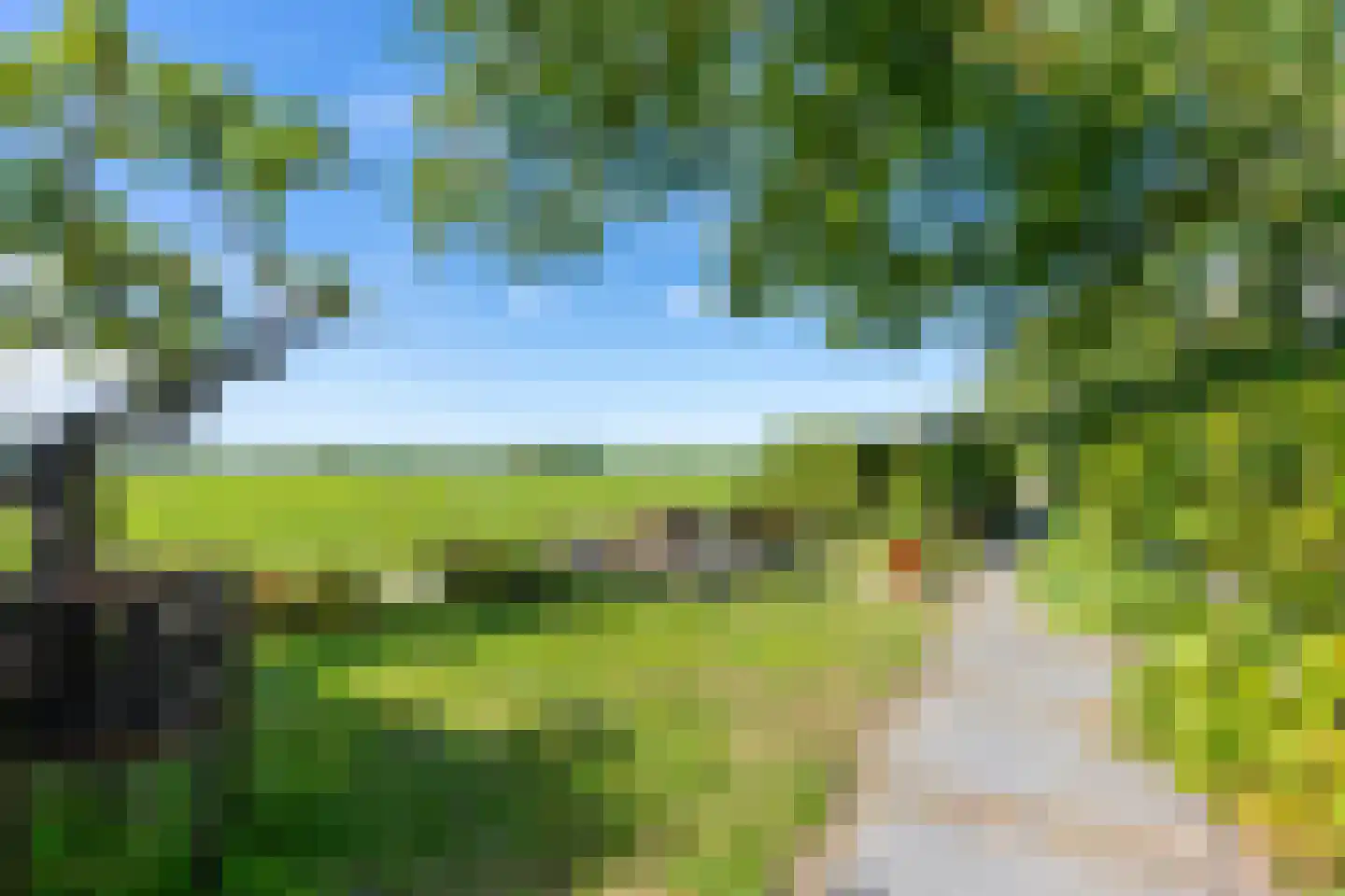 Maasdijk 7 Nederhemert thumbnail 34