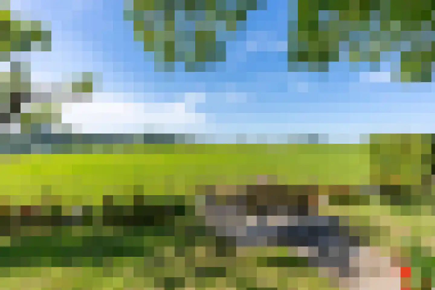 Maasdijk 7 Nederhemert thumbnail 35