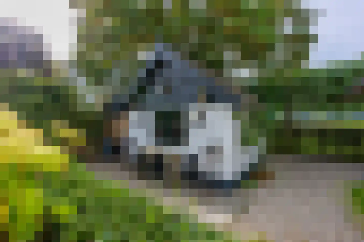 Maasdijk 7 Nederhemert thumbnail 37