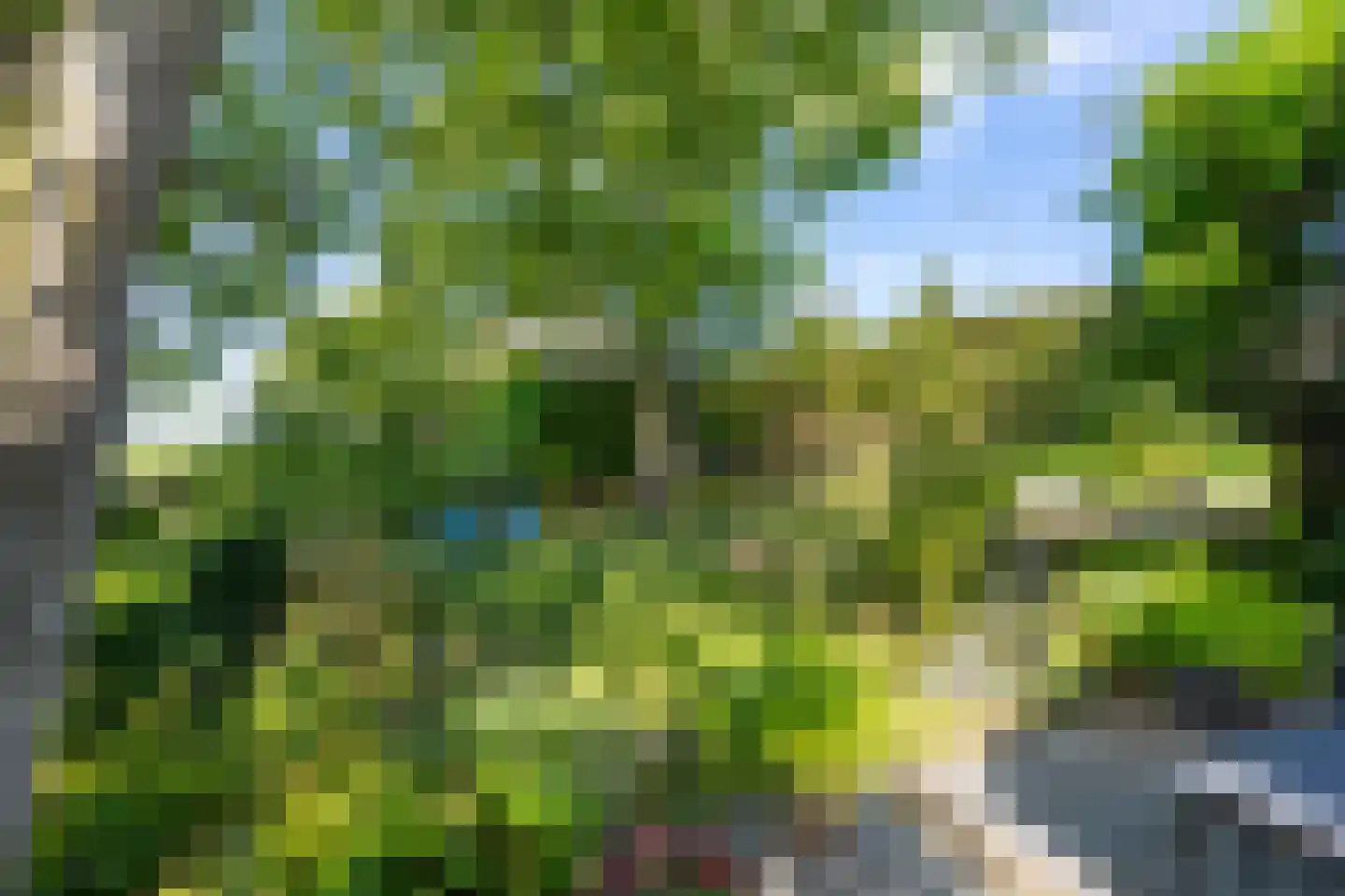 Maasdijk 7 Nederhemert thumbnail 38