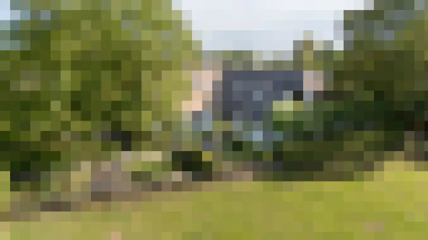 Maasdijk 7 Nederhemert thumbnail 4