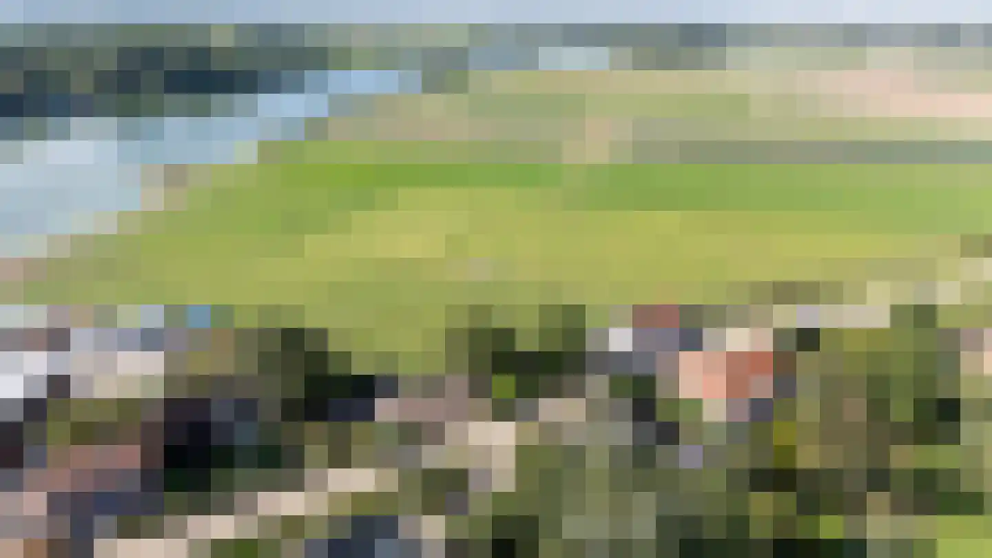 Maasdijk 7 Nederhemert thumbnail 40