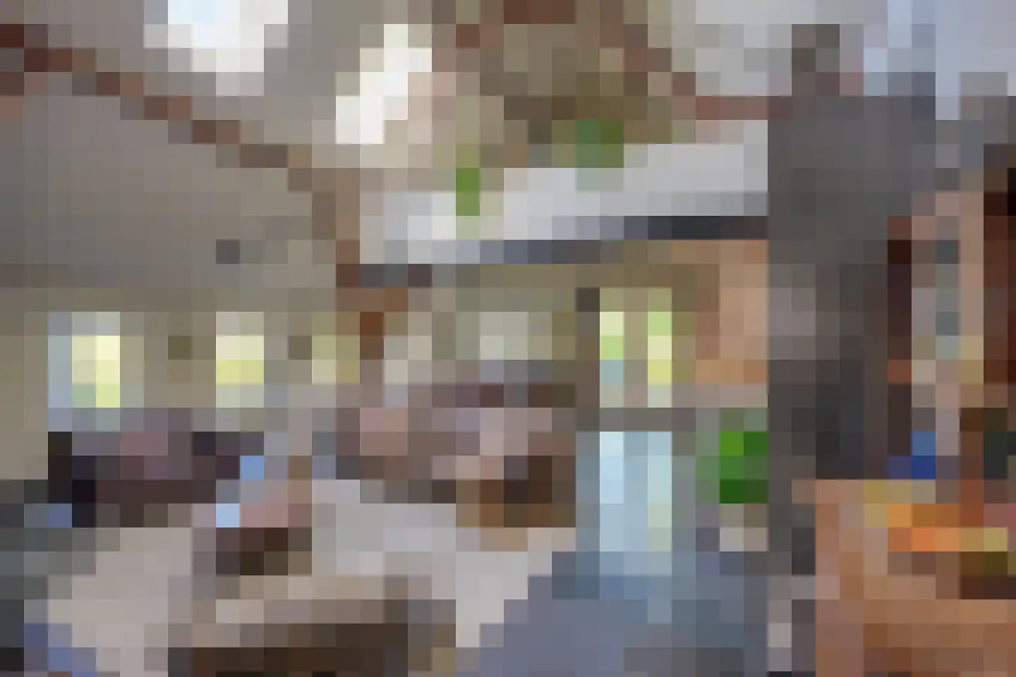 Maasdijk 7 Nederhemert thumbnail 6