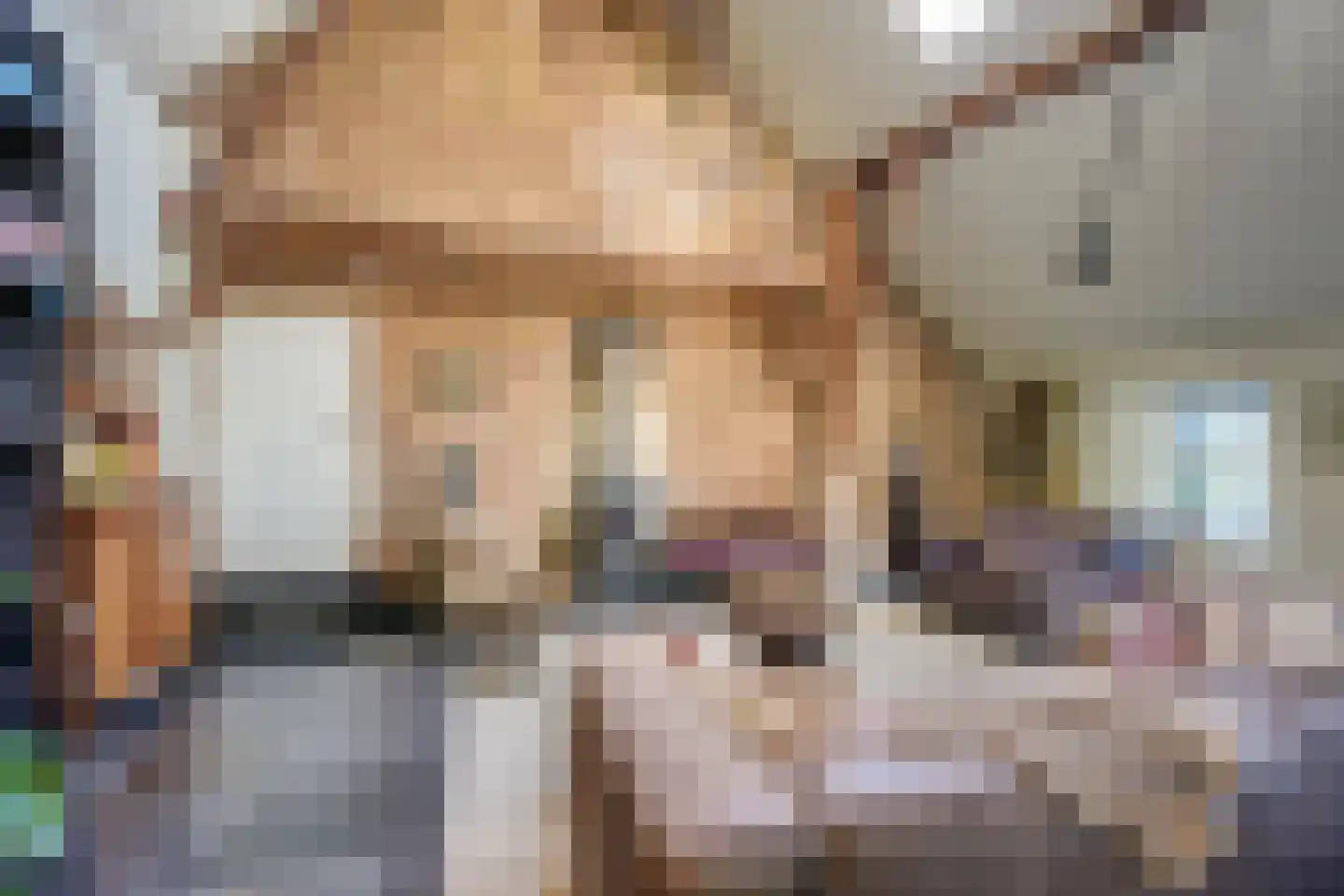 Maasdijk 7 Nederhemert thumbnail 7