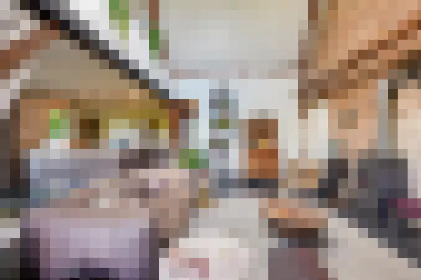 Maasdijk 7 Nederhemert thumbnail 8