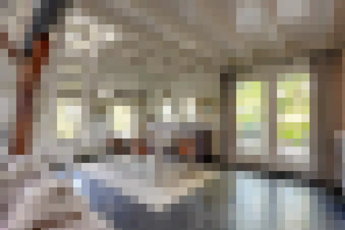Maasdijk 7 Nederhemert thumbnail 9