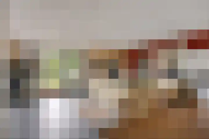Maasdijk 70 Demen thumbnail 11