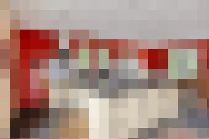 Maasdijk 70 Demen thumbnail 13