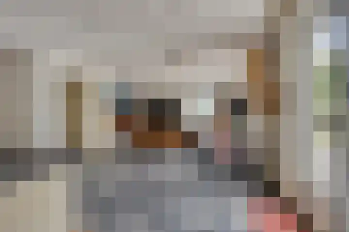 Maasdijk 70 Demen thumbnail 14