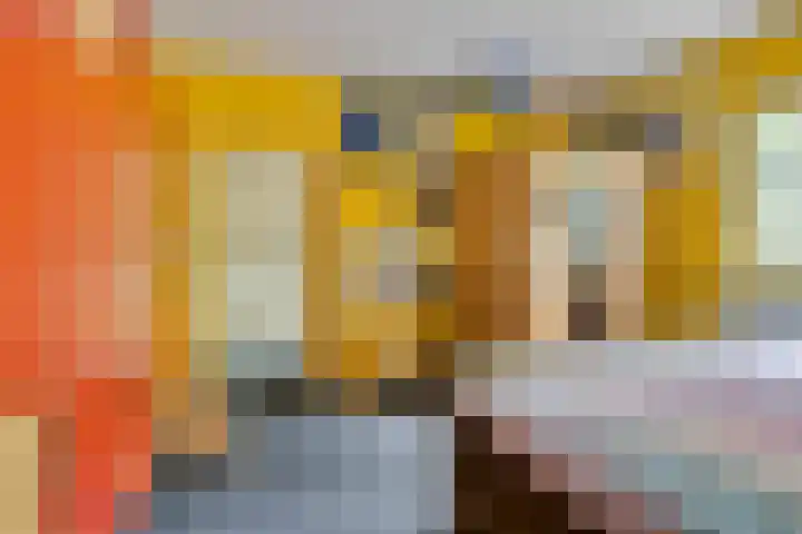 Maasdijk 70 Demen thumbnail 20