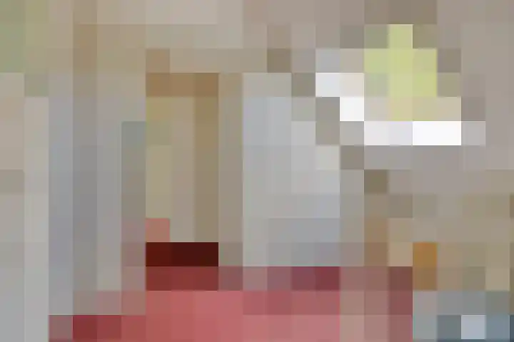 Maasdijk 70 Demen thumbnail 24