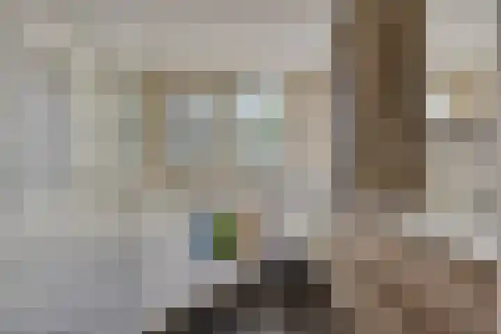 Maasdijk 70 Demen thumbnail 25