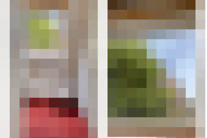 Maasdijk 70 Demen thumbnail 30