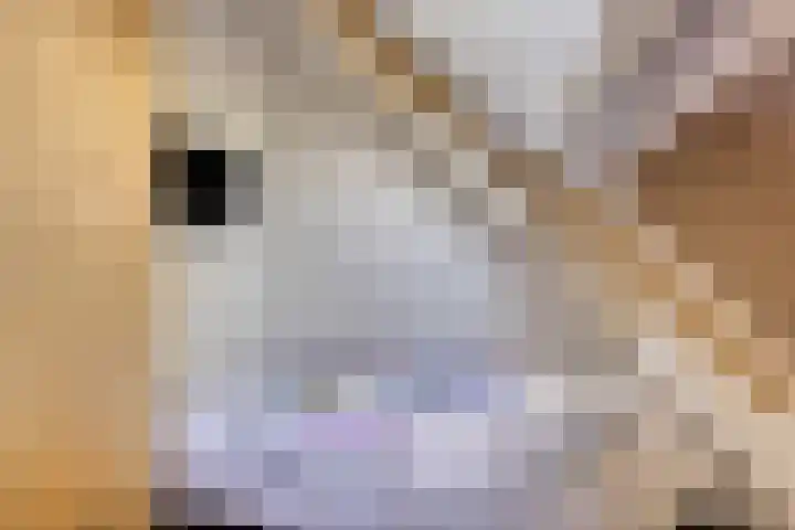 Maasdijk 70 Demen thumbnail 31