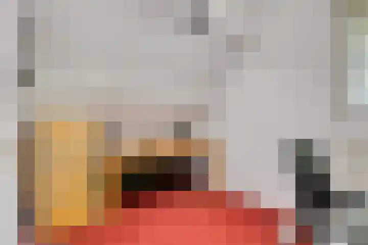 Maasdijk 70 Demen thumbnail 32