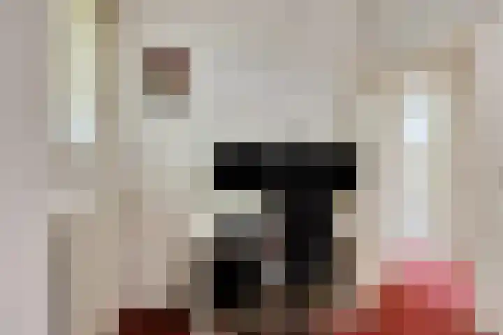 Maasdijk 70 Demen thumbnail 33
