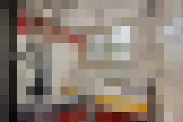 Maasdijk 70 Demen thumbnail 34