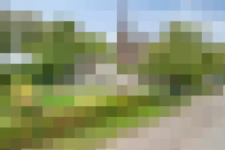 Maasdijk 70 Demen thumbnail 35