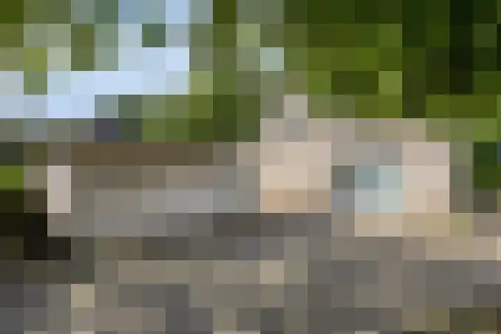 Maasdijk 70 Demen thumbnail 41