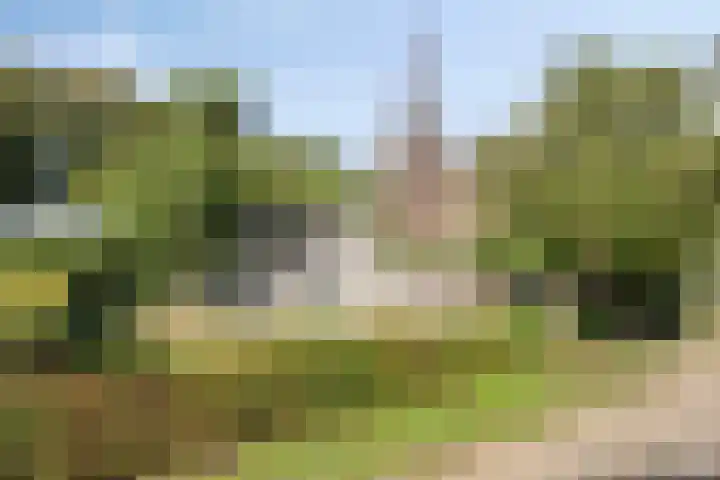 Maasdijk 70 Demen thumbnail 43