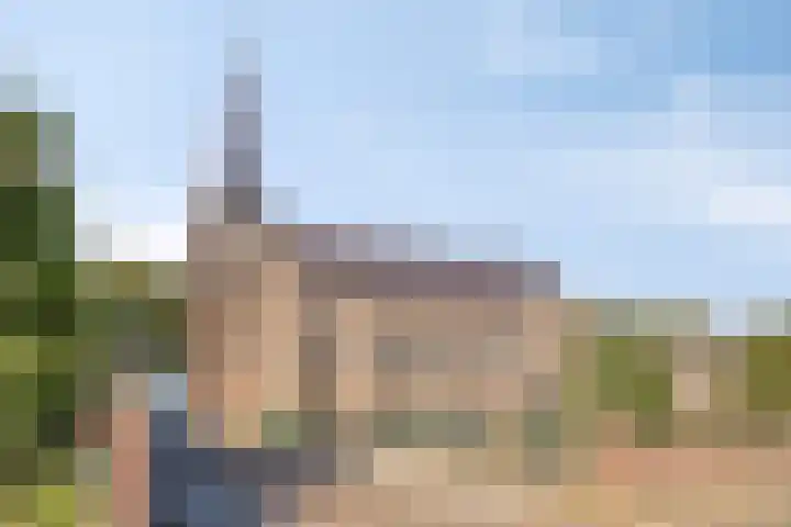 Maasdijk 70 Demen thumbnail 44