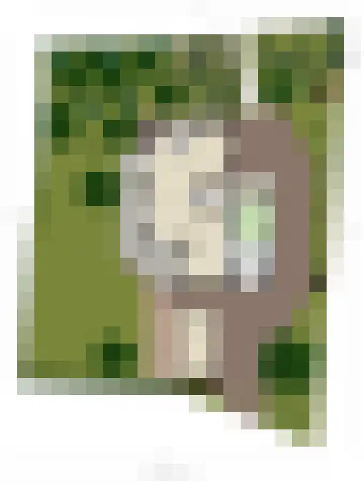 Maasdijk 70 Demen thumbnail 45