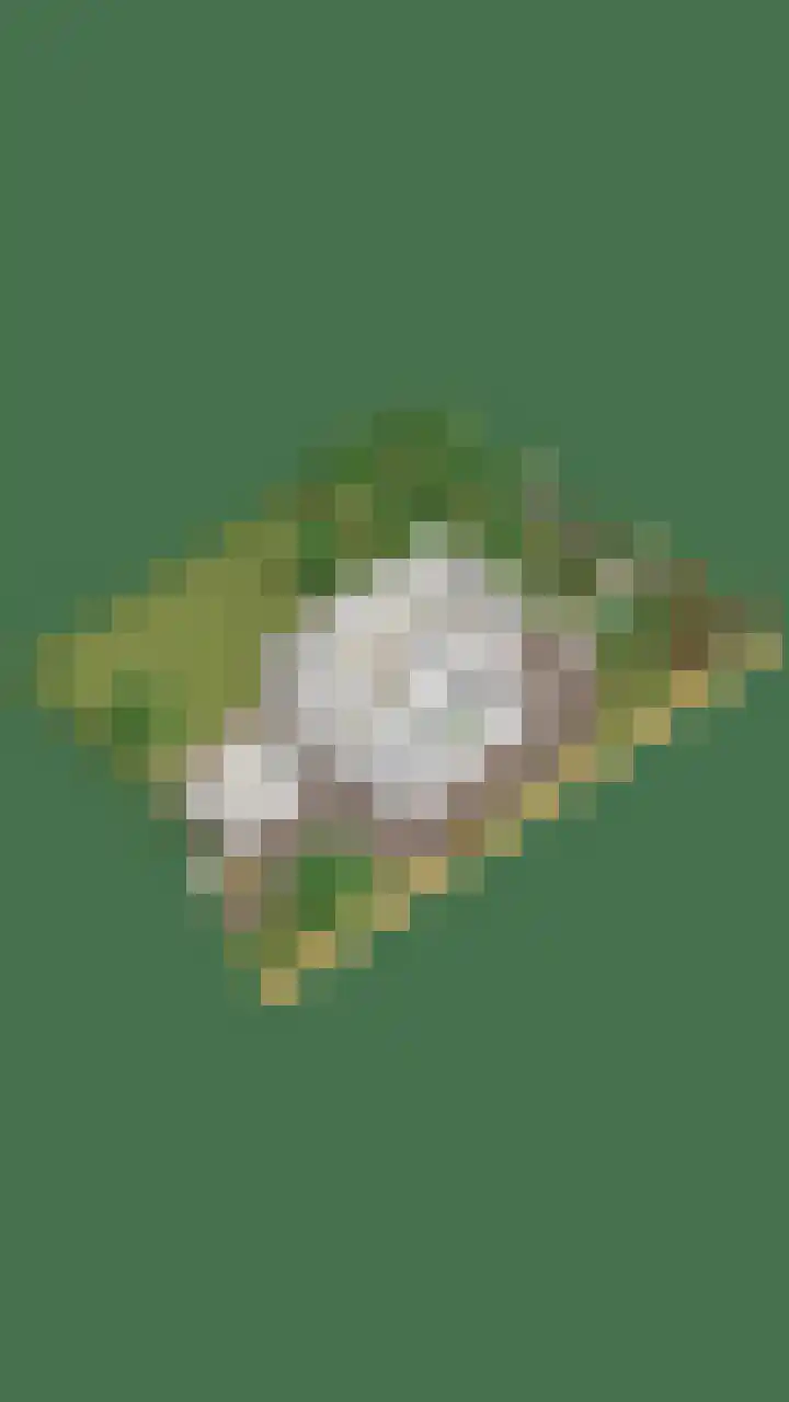 Maasdijk 70 Demen thumbnail 46