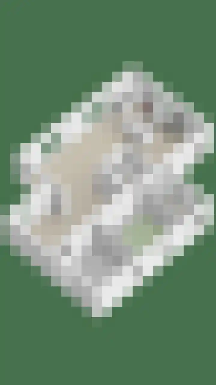 Maasdijk 70 Demen thumbnail 48