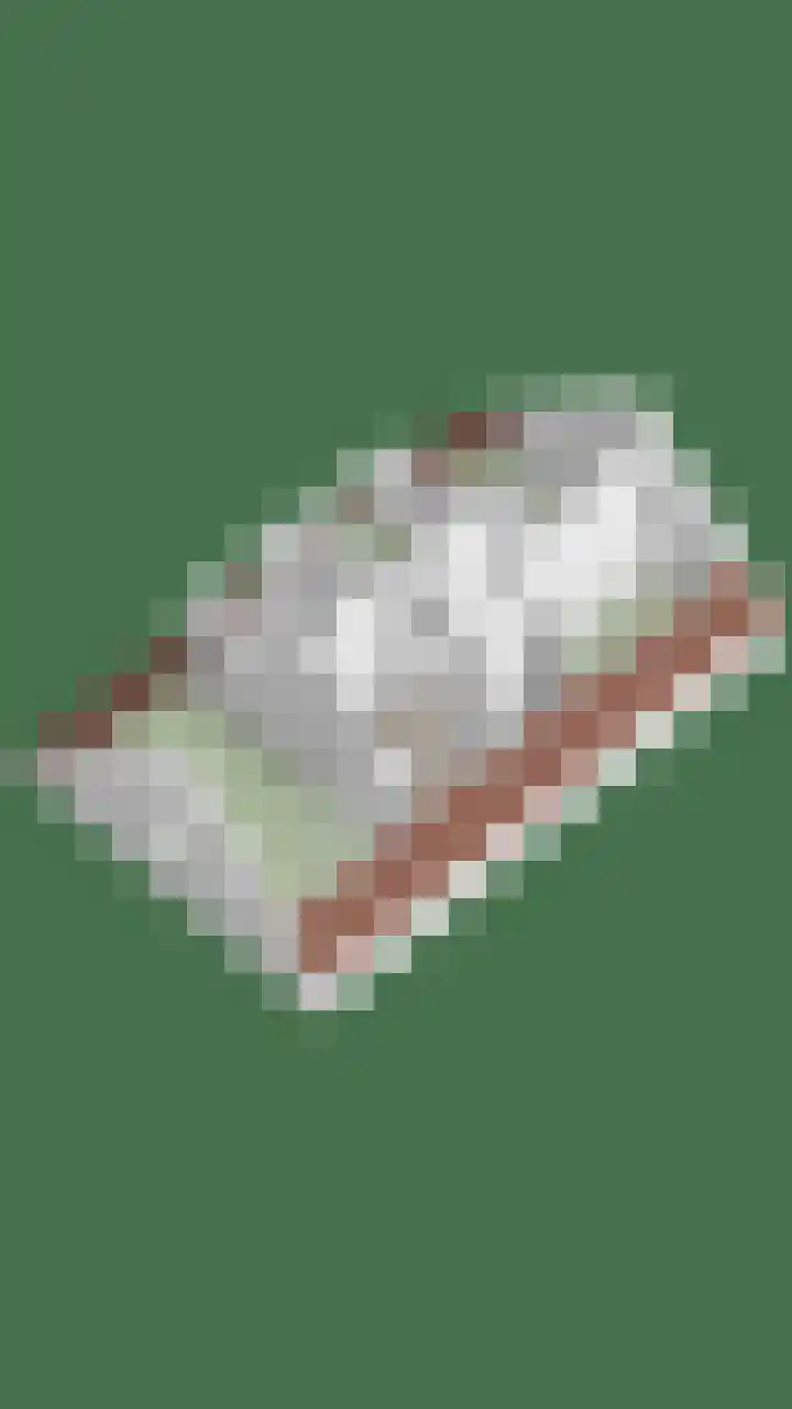 Maasdijk 70 Demen thumbnail 50